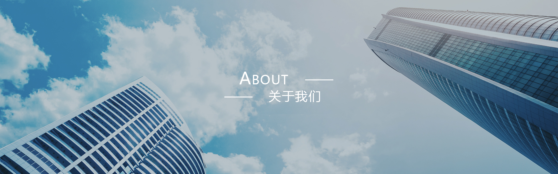資質(zhì)榮譽